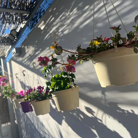 Atico Rilque, Independientes Con Jacuzzi Privado Y Terraza En * Ронда